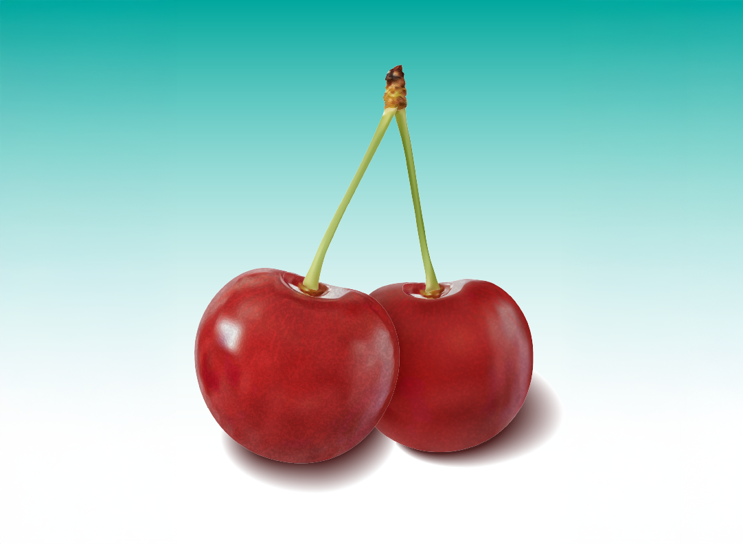 Cherries — vector illustration